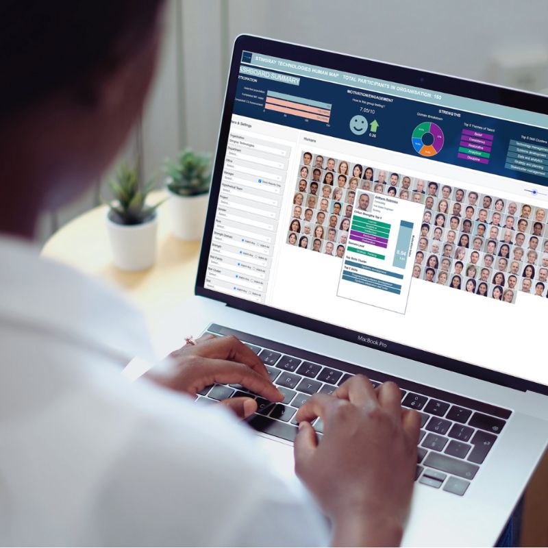 A person works on a laptop displaying a dashboard with charts, graphs, and a grid of headshots, using HR software Australia to analyze participant demographics or survey results—valuable tools for new managers overseeing teams. | Humanico Workforce Intelligence Software